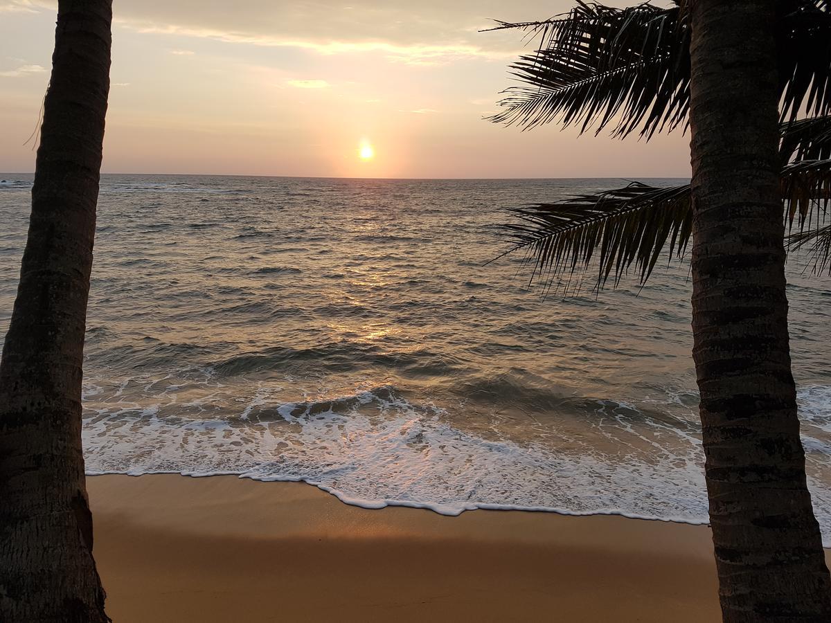 Guesthouse Panorama Beruwala Dış mekan fotoğraf
